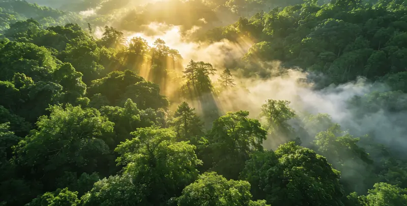 齐齐哈尔肺癌49基因检测图片1
