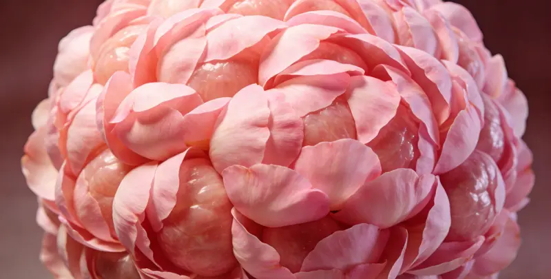 齐齐哈尔BRCA1/2乳腺癌卵巢癌基因检测图片1